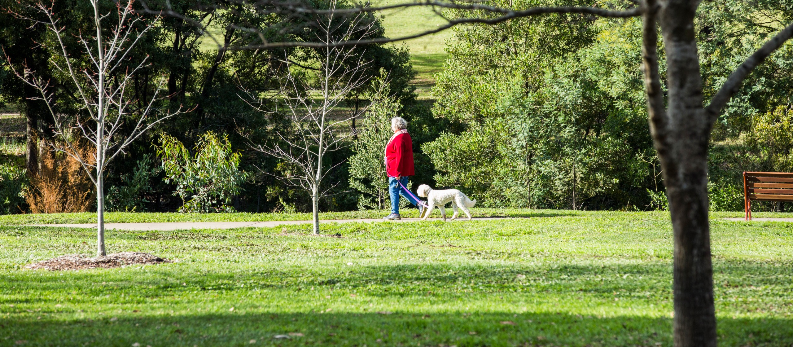 Dog offleash areas and prohibited areas Your Say Macedon Ranges